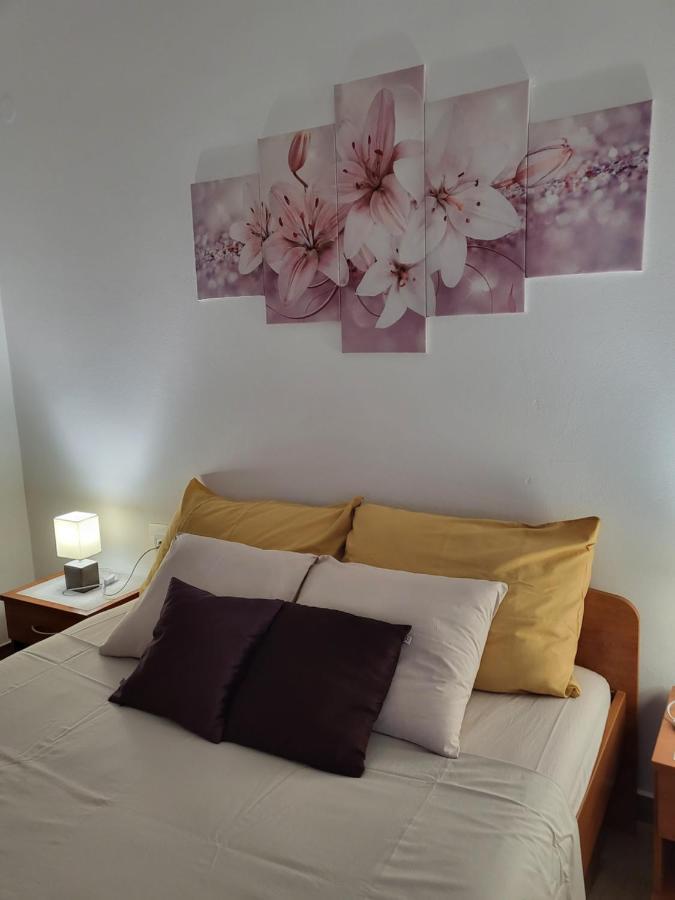 Licul Apartment Rovinj Zewnętrze zdjęcie
